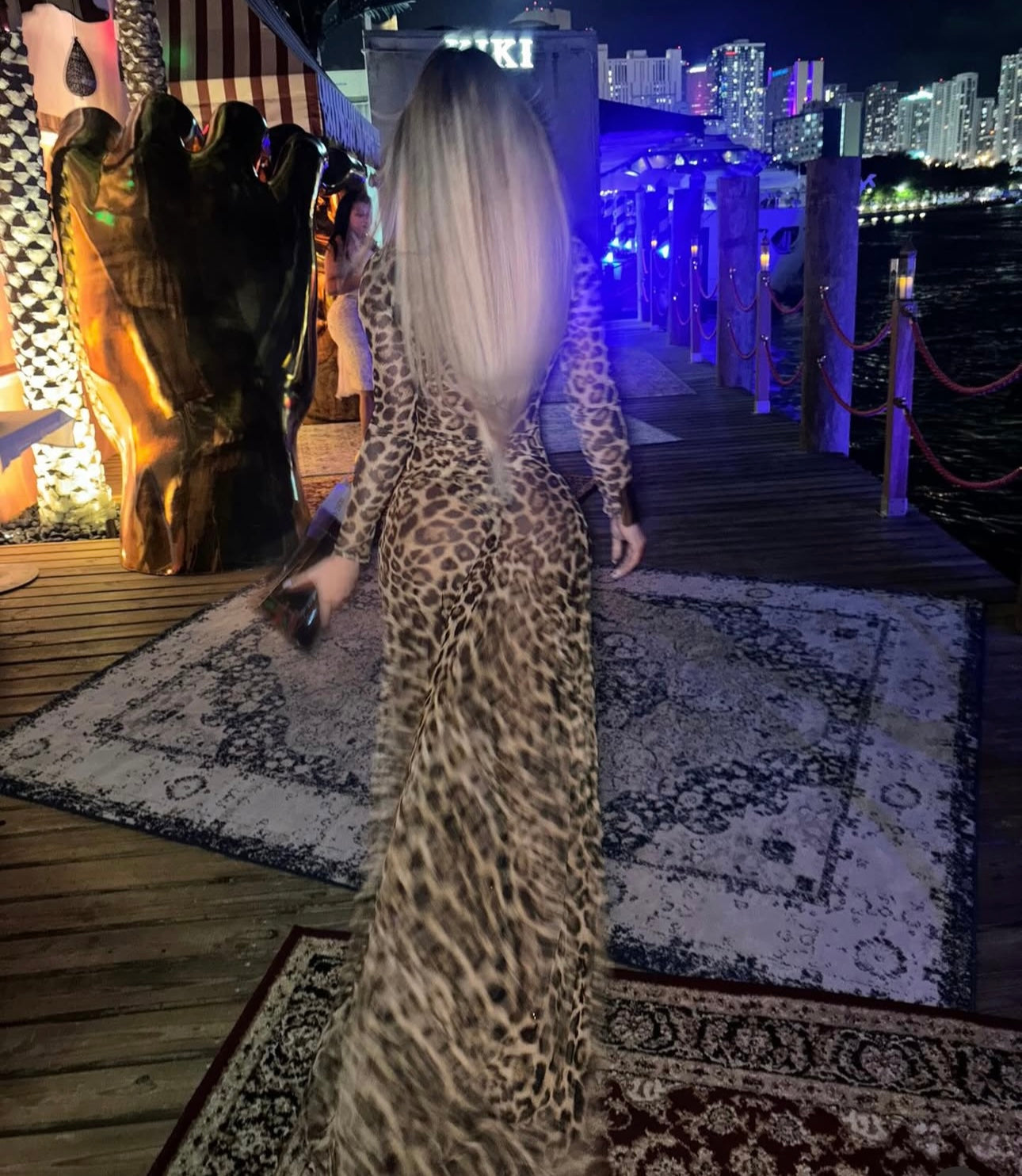 Leopard Mesh Bodysuit set