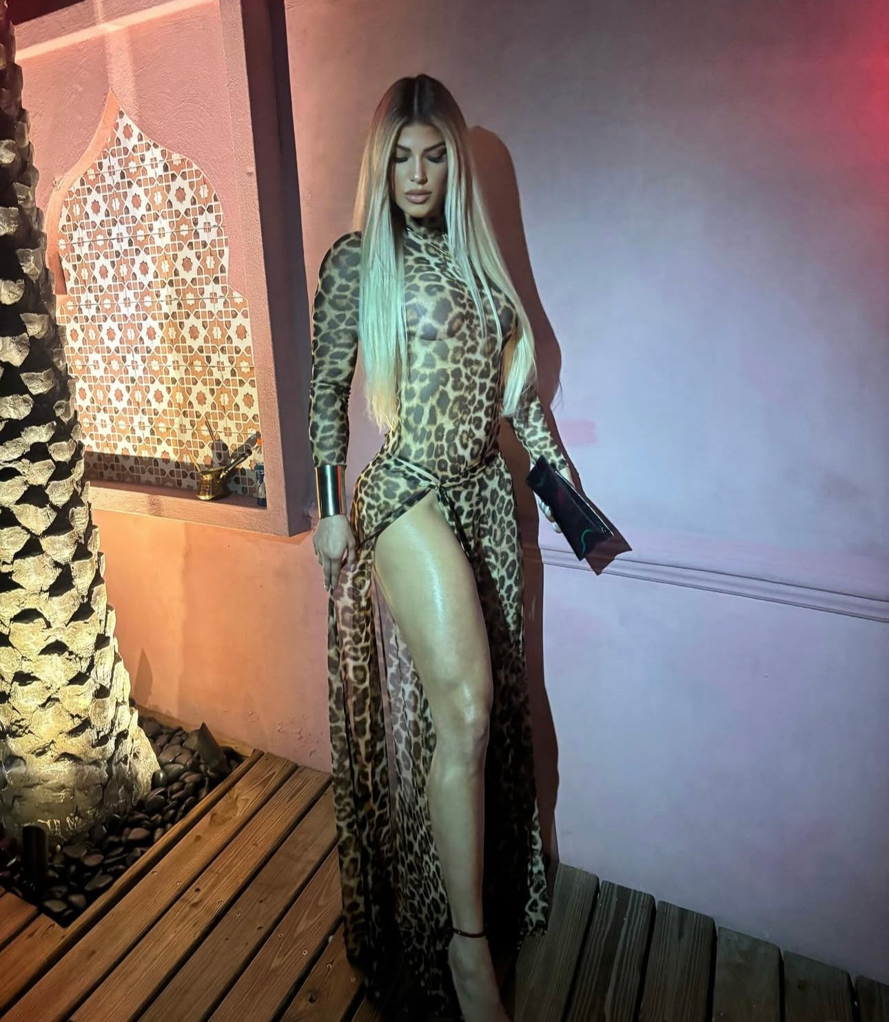 Leopard Mesh Bodysuit set