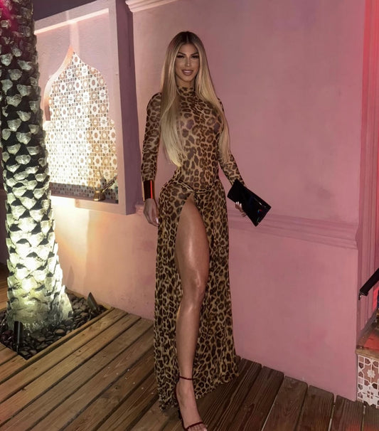Leopard Mesh Bodysuit set