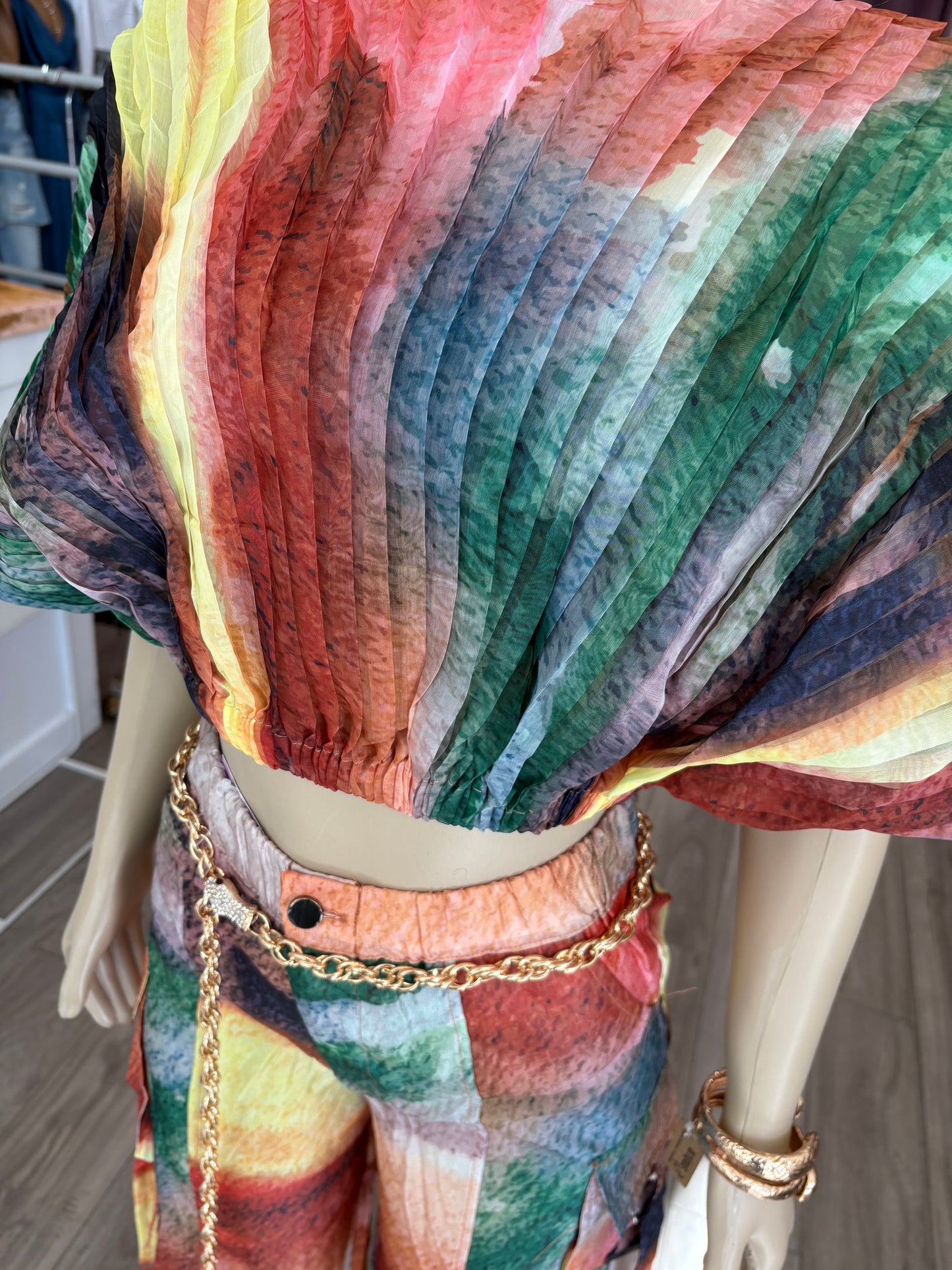 Sheer Colorful Cargo pant set